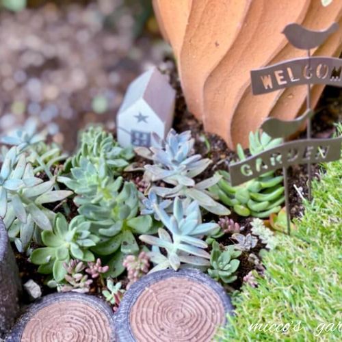 お庭の余ったスペースでok 多肉花壇 でガーデニングを楽しもう Greensnap グリーンスナップ