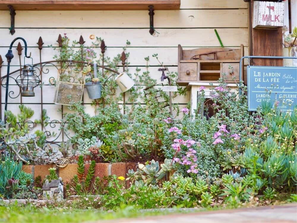 多肉植物　多肉花壇　ガーデニング