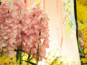 シンビジウム(シンビジューム)　薄桃色の花