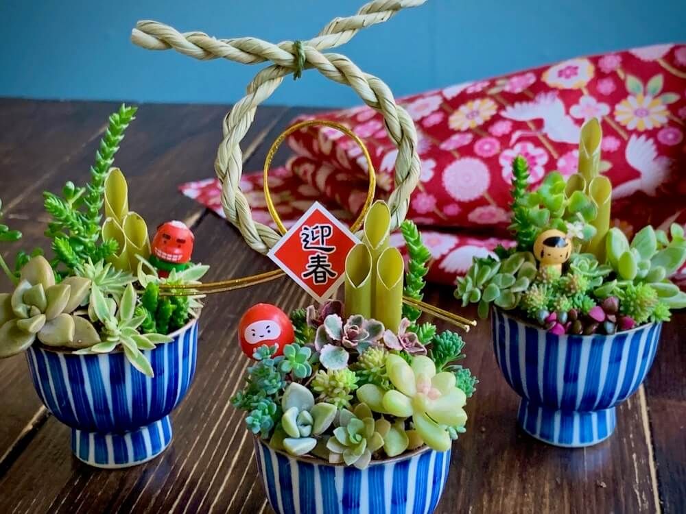 多肉植物　寄せ植え