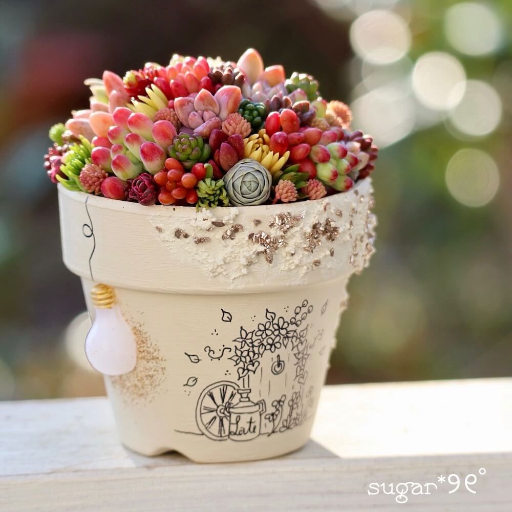 多肉植物　寄せ植え　素焼き鉢