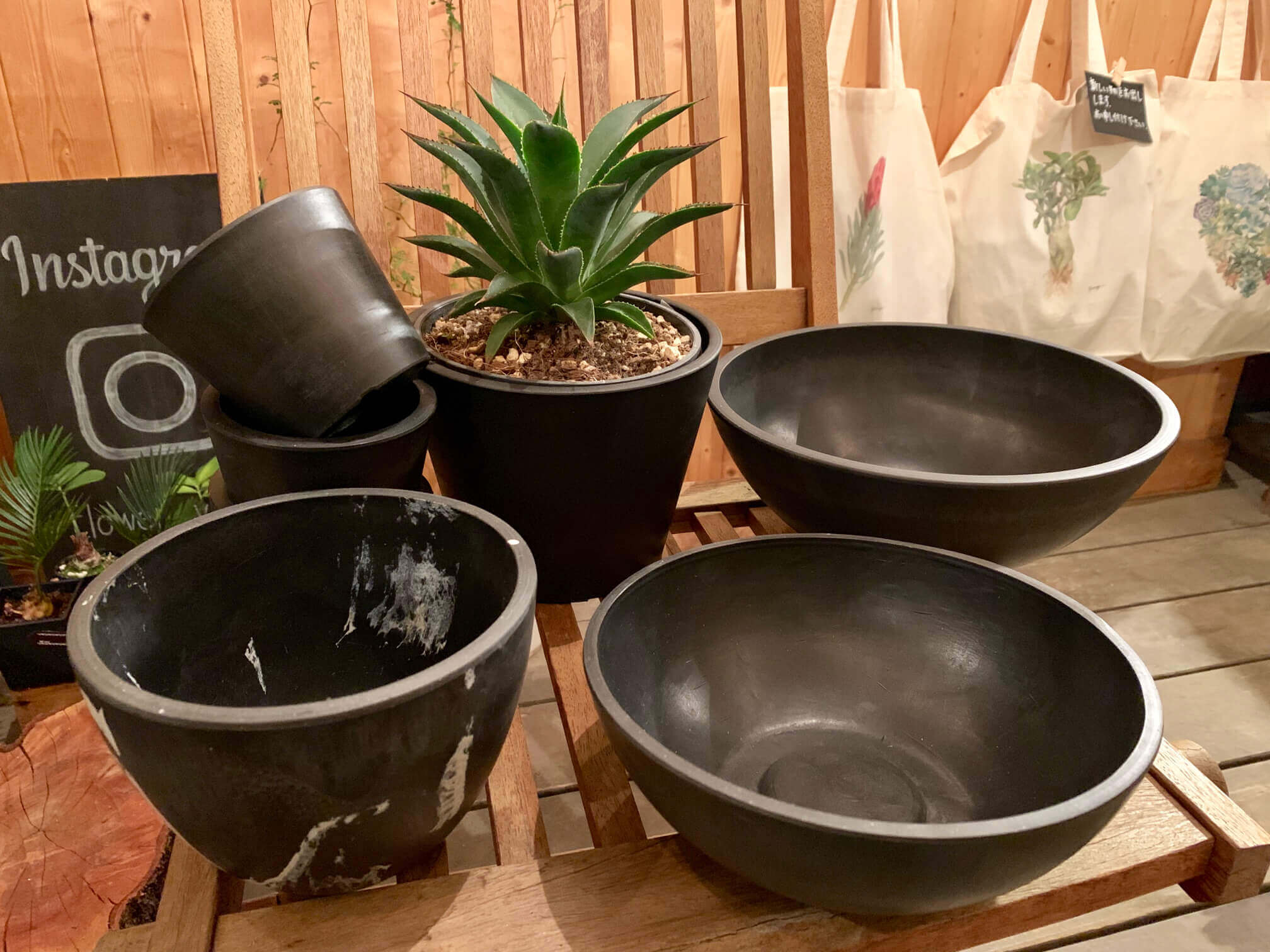 おしゃれな植木鉢 おすすめのサイズや陶器などの素材の種類は Greensnap グリーンスナップ