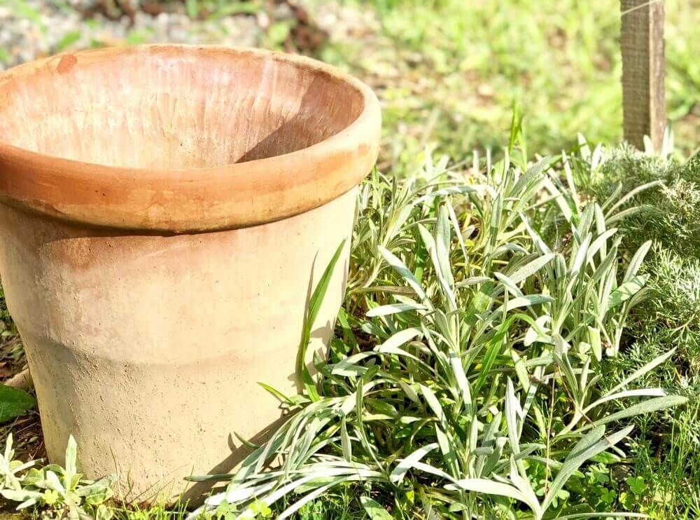 植木鉢　テラコッタ