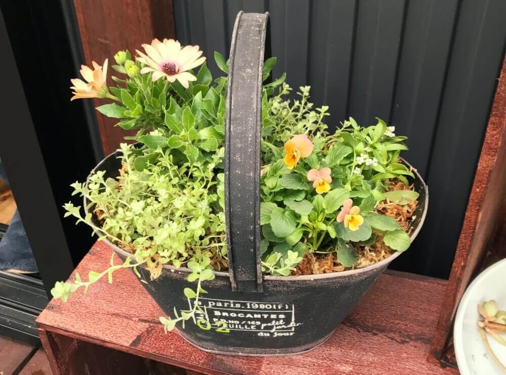 植木鉢　ブリキ