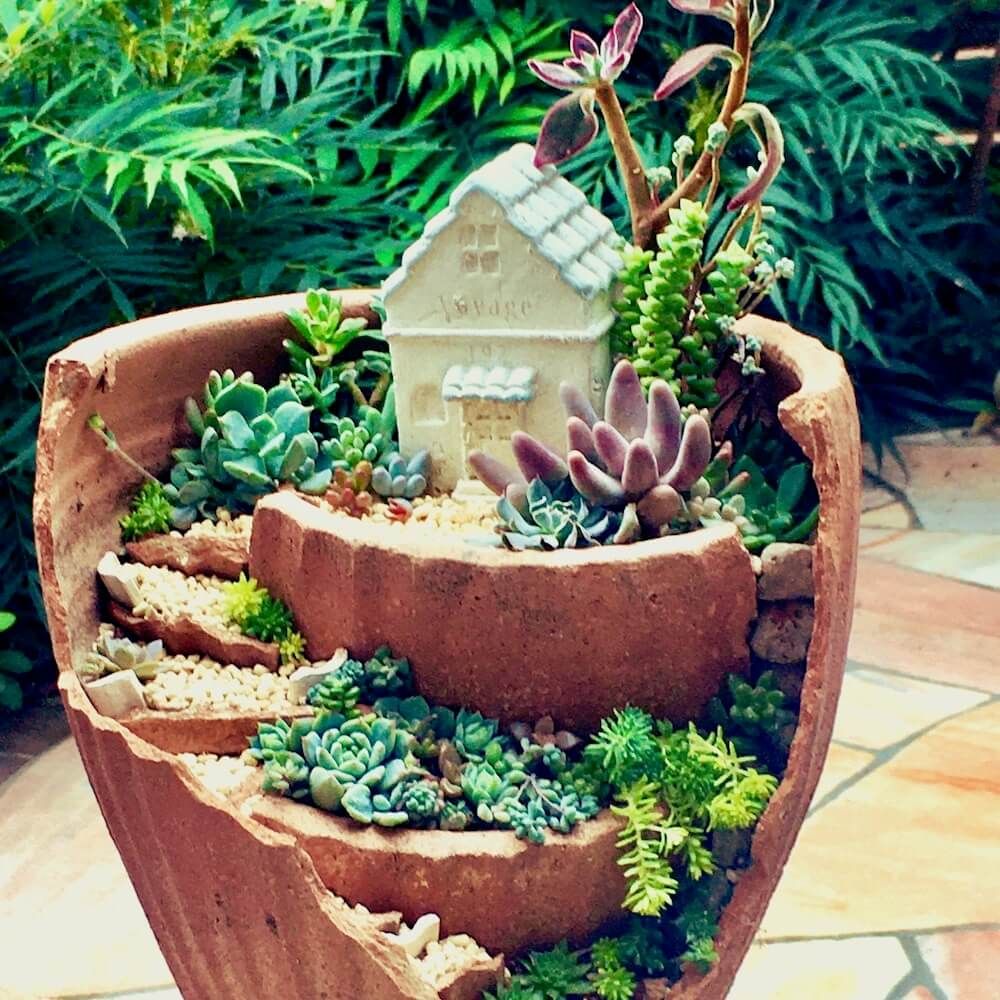 多肉植物　寄せ植え　箱庭