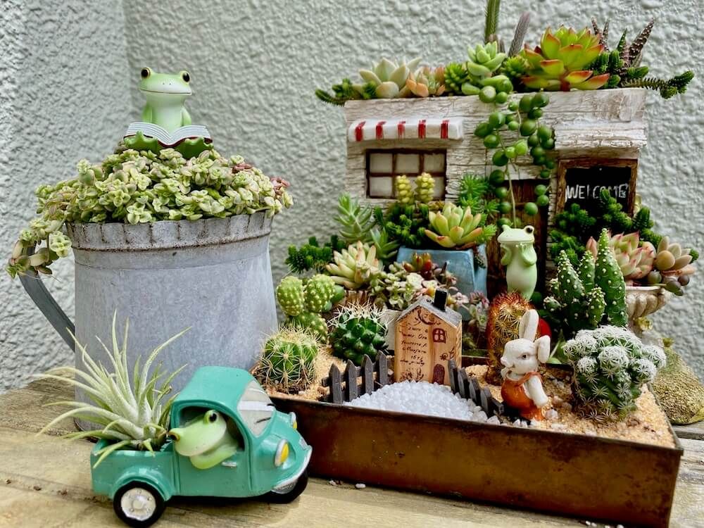 多肉植物　寄せ植え　箱庭