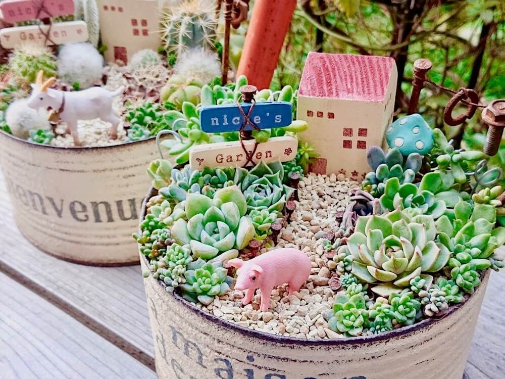 多肉植物　寄せ植え　箱庭