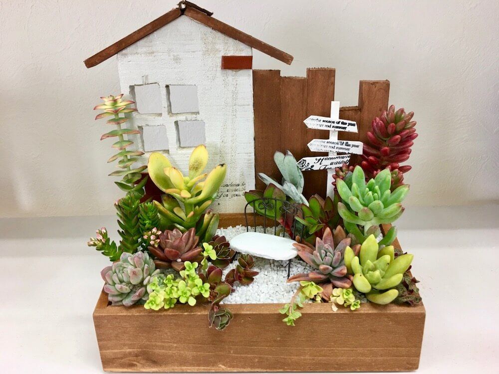 多肉植物　寄せ植え　箱庭