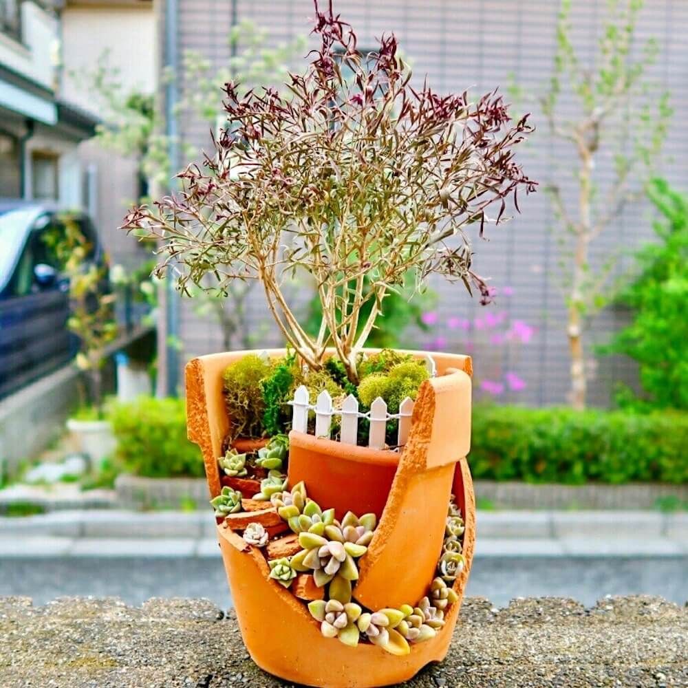 ブロークンポット　寄せ植え
