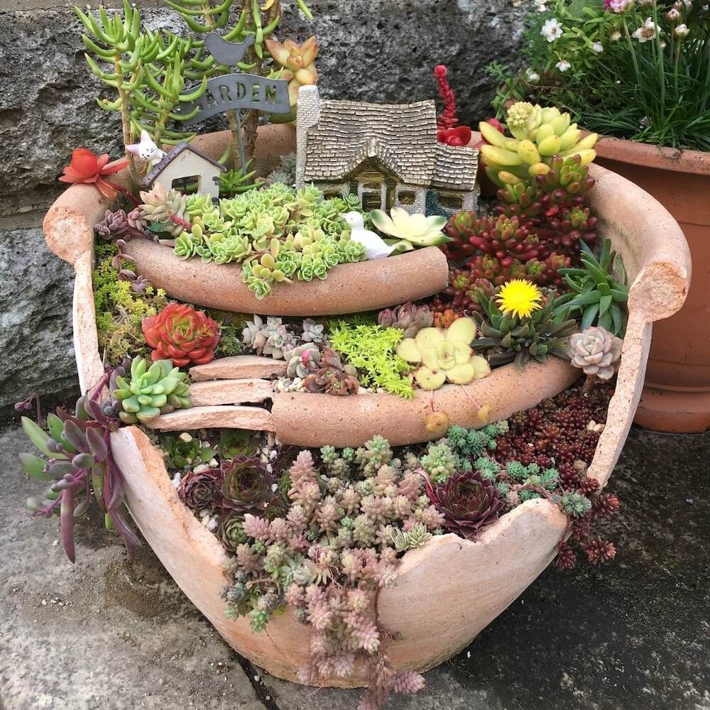 ブロークンポット　寄せ植え