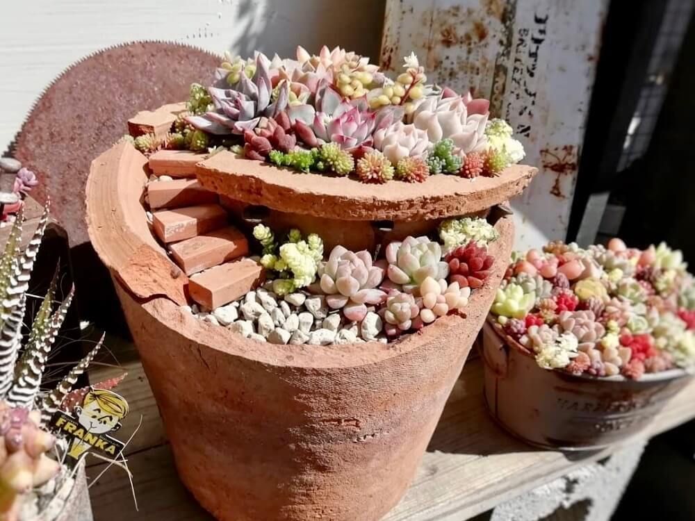 ブロークンポット　寄せ植え