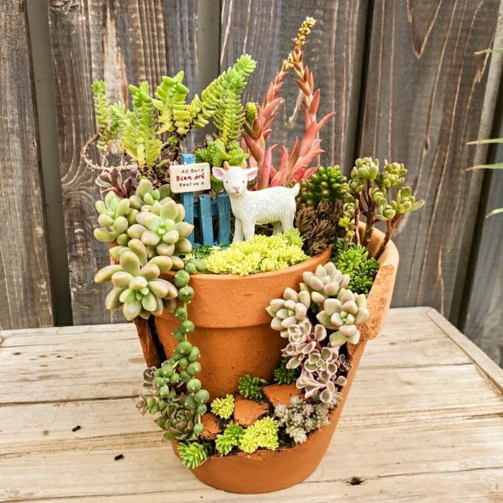 ブロークンポット　寄せ植え