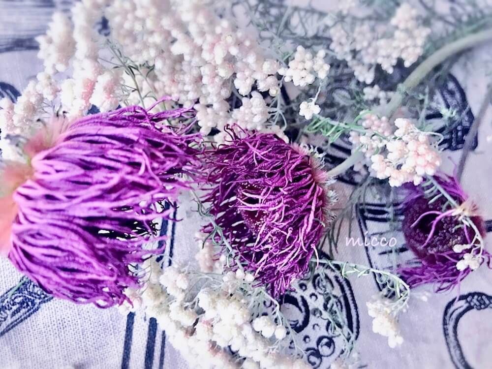 ガーベラ　ドライフラワー