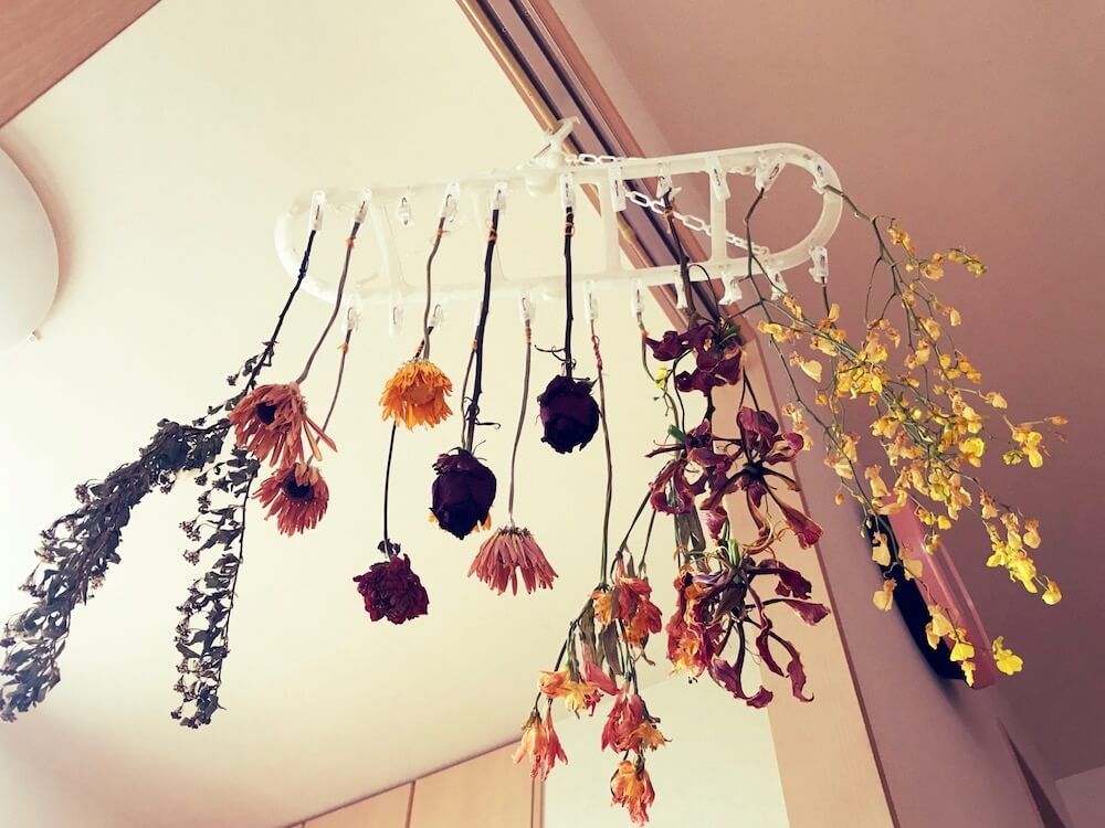 ガーベラ　ドライフラワー