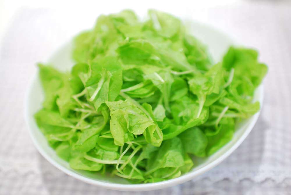 レタス