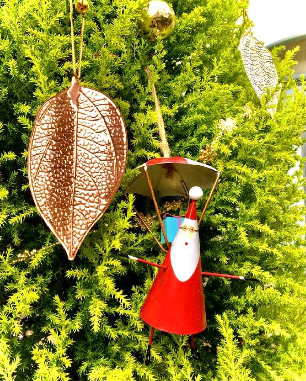 ゴールドクレスト