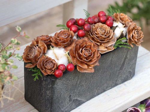 綿 ワタ の育て方 種まきや植え付け 収穫の時期は Greensnap グリーンスナップ