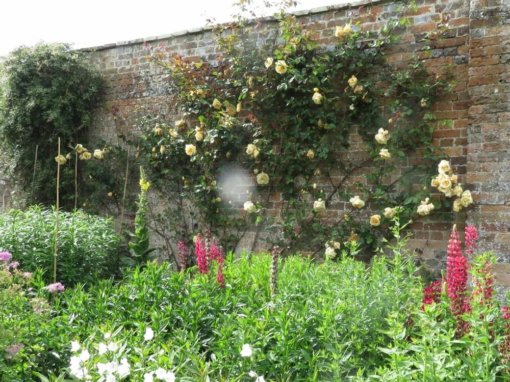 イングリッシュガーデン　