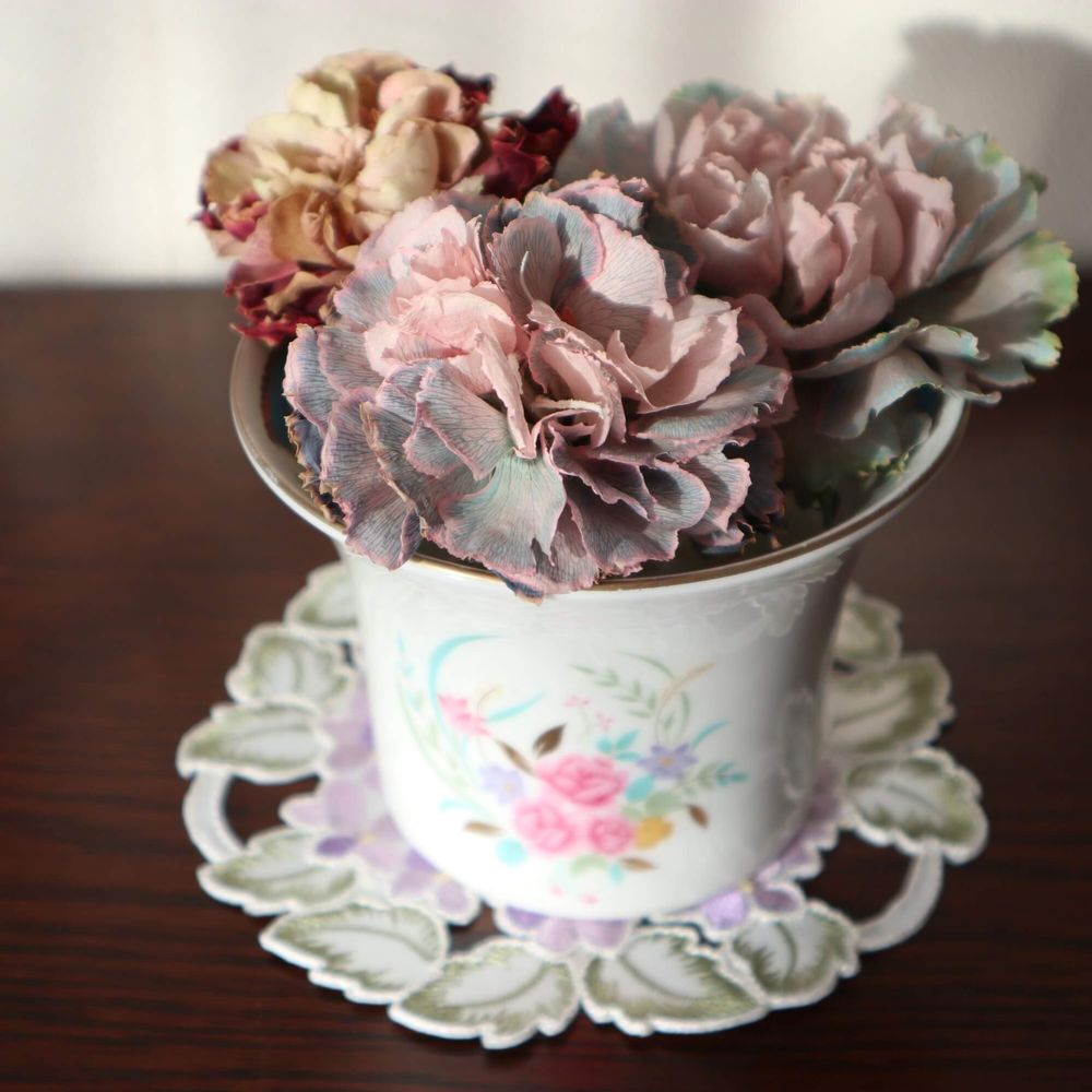 ドライフラワー　カーネーション