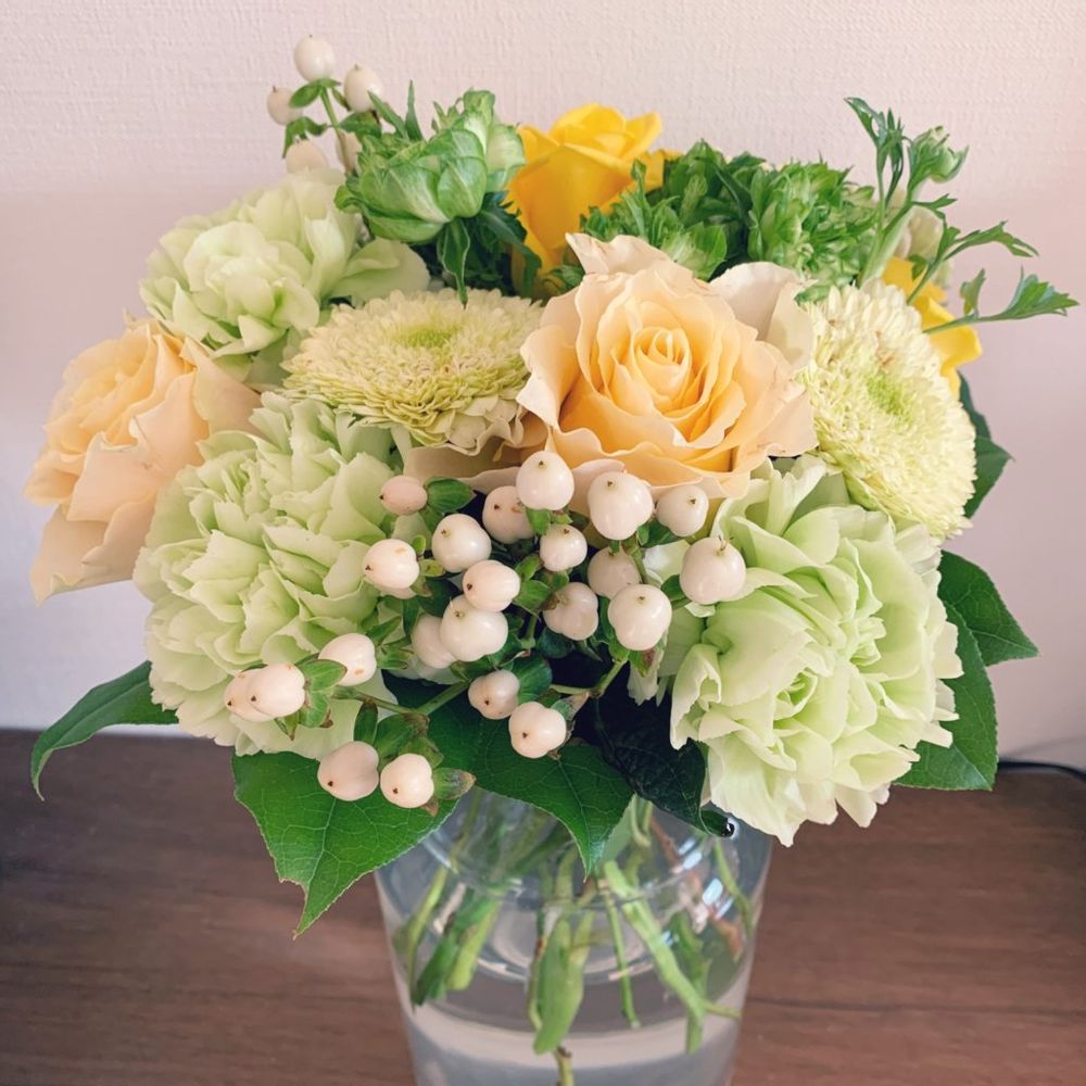 カーネーション