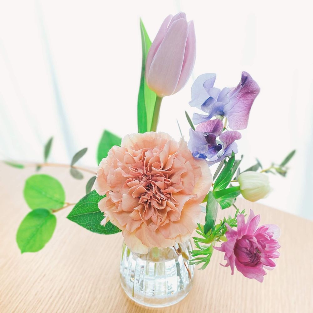 カーネーション