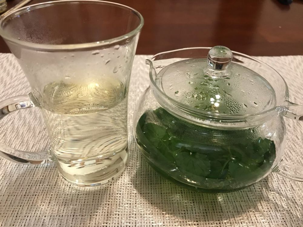 オレンジミント