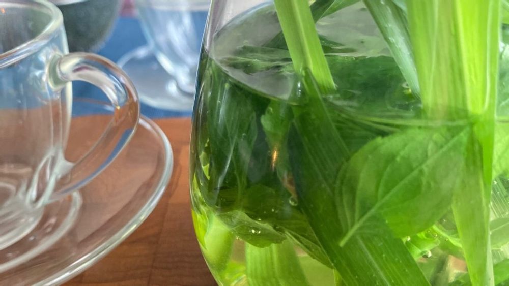 ホーリーバジル