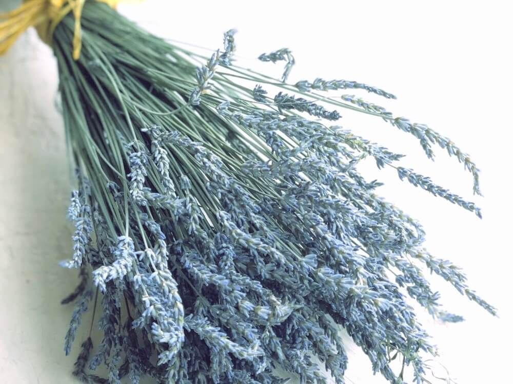 ラベンダー　ドライフラワー　