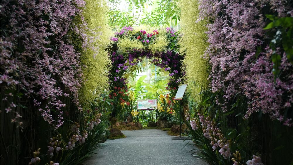 高知県立牧野植物園　温室