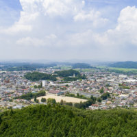 まだまだ気になる放射線の植物などへの影響。「むやみに恐れることはない」専門家が伝える放射線の特徴の画像