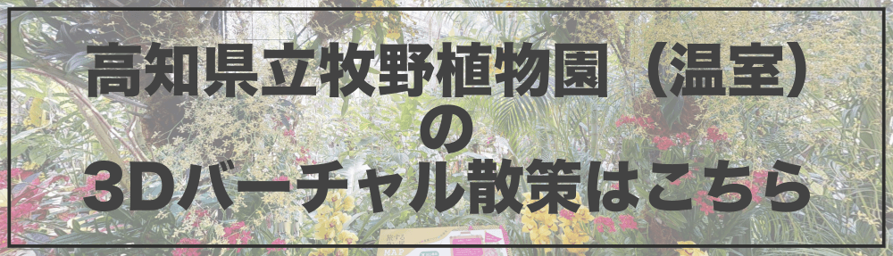 高知県立牧野植物園　３Dオンライン植物園