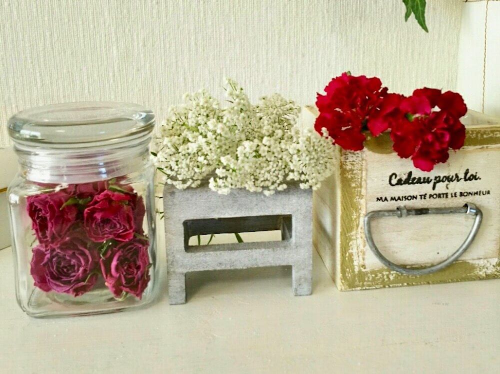 カーネーション　ドライフラワー