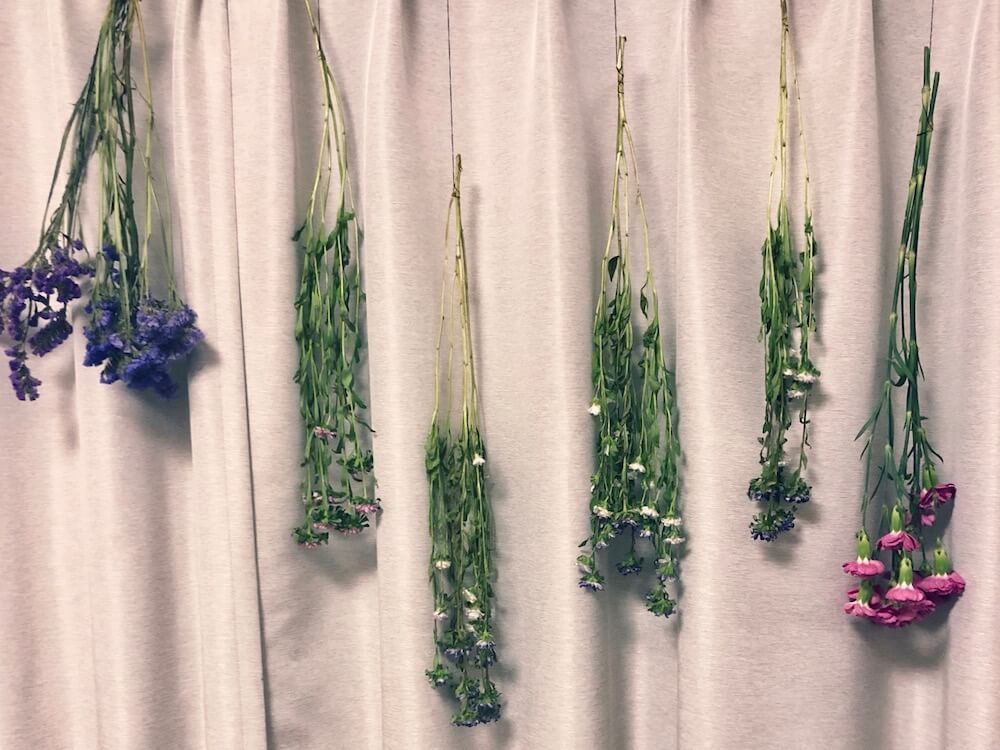 カーネーション　ドライフラワー 　吊るした写真