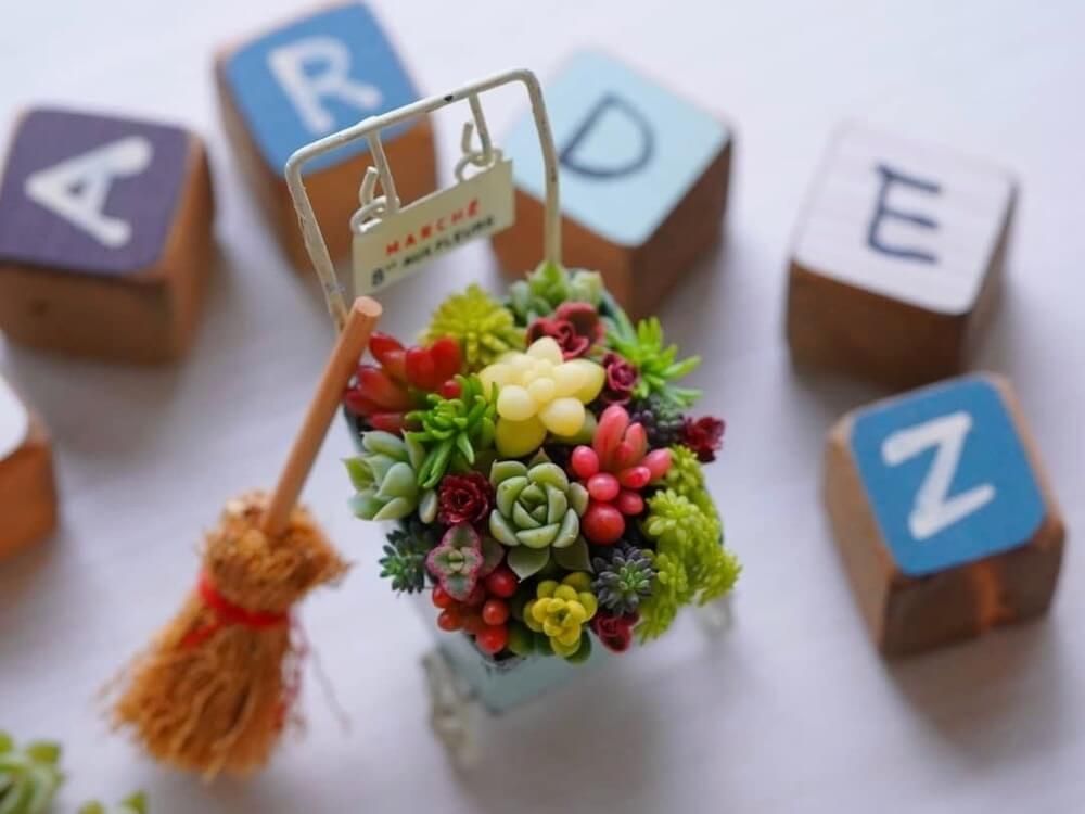 多肉植物　インテリア