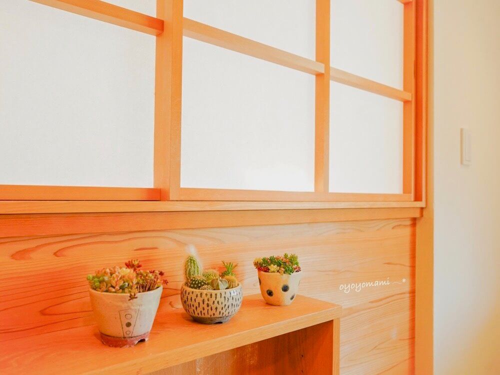 多肉植物　インテリア