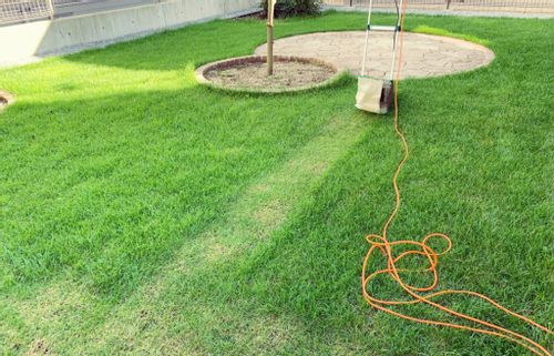芝生の張り方 植え方 庭に簡単に張る方法は 庭土の整え方は Greensnap グリーンスナップ