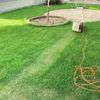 芝生の種まき｜時期や整地の方法は？失敗したら追いまきをしよう！の画像