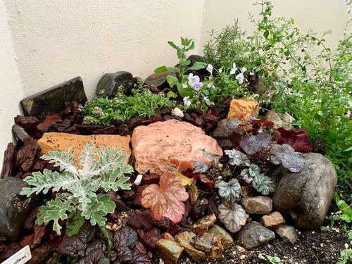 おしゃれなロックガーデンの作り方 石の積み方 おすすめの植物は Greensnap グリーンスナップ