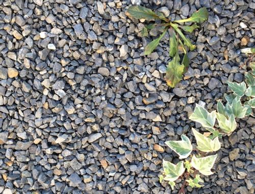 玉砂利とは 目的や効果は 種類や敷き方の注意点は Greensnap グリーンスナップ