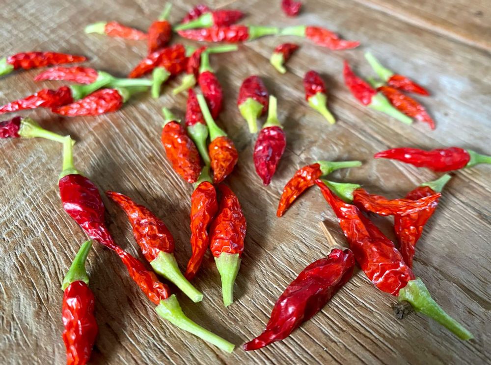 唐辛子島唐辛子