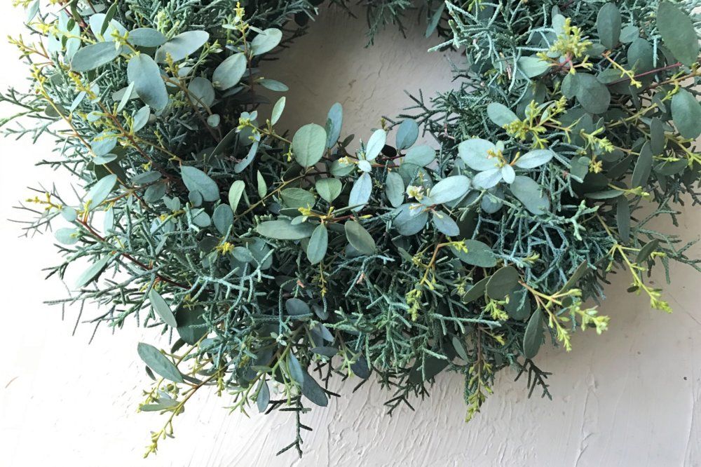 ユーカリリース