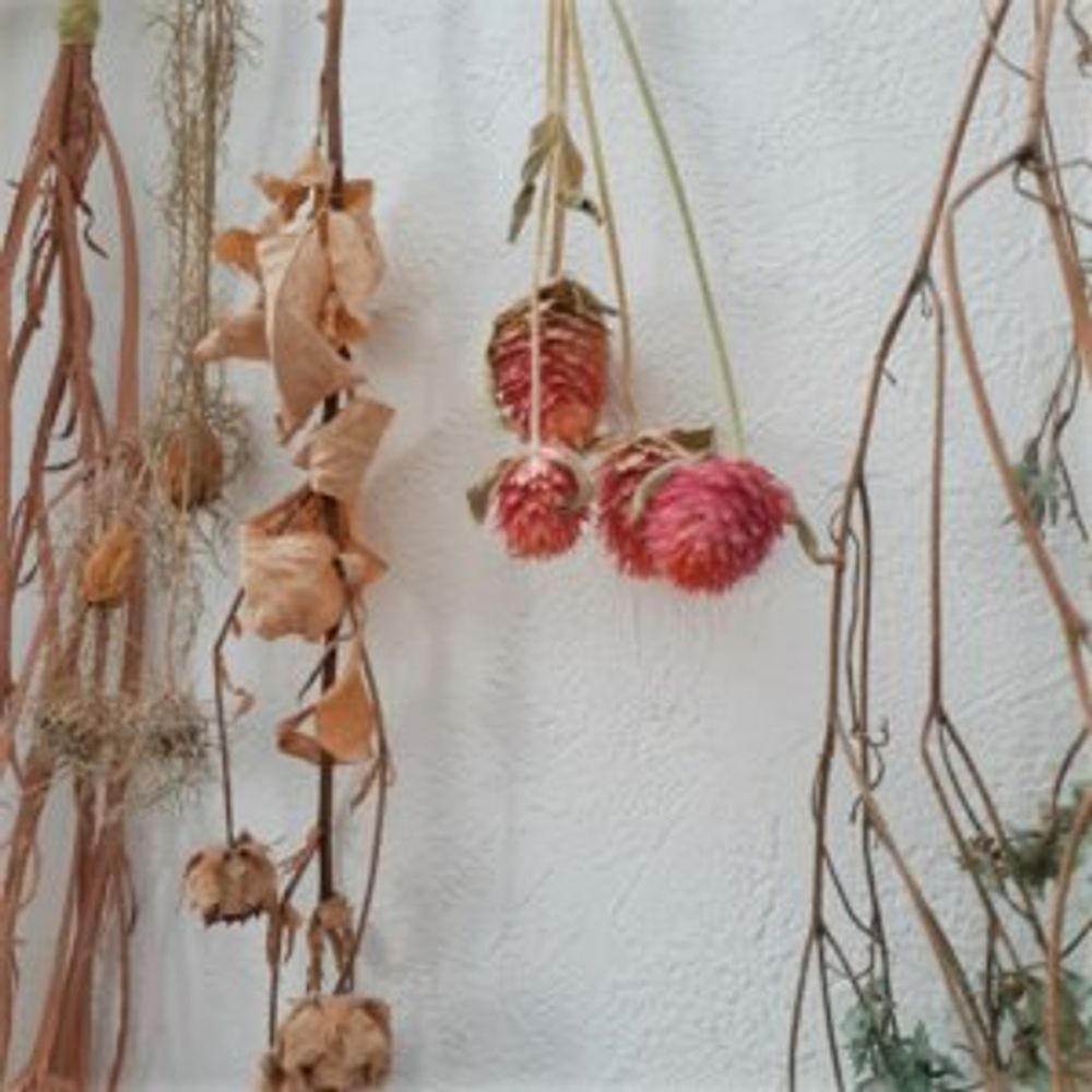 ストロベリーキャンドル ドライフラワー