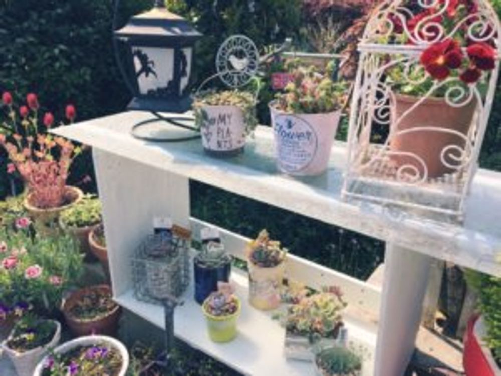 ストロベリーキャンドル　鉢植え　屋外