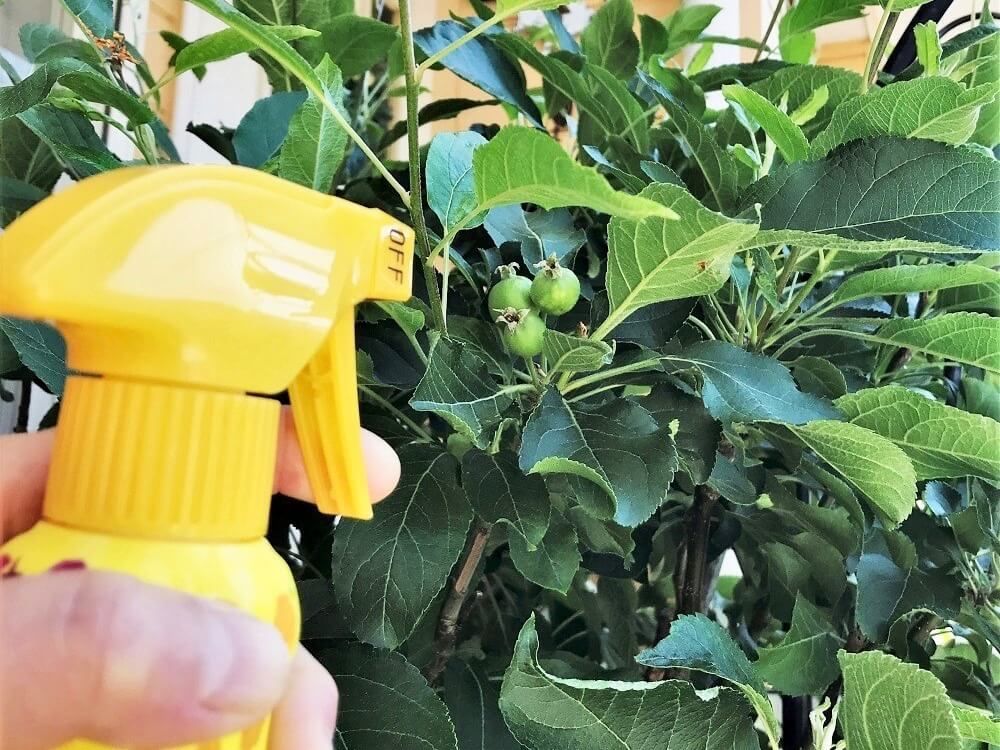 殺虫スプレーで防虫・駆除する