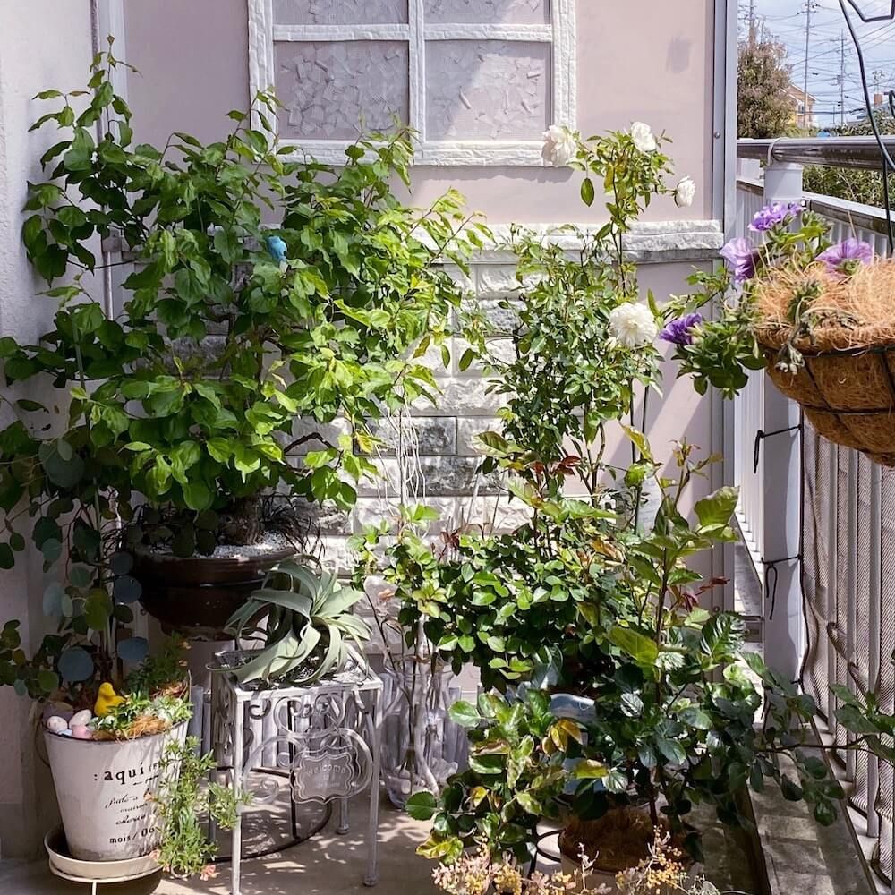 ベランダガーデニング