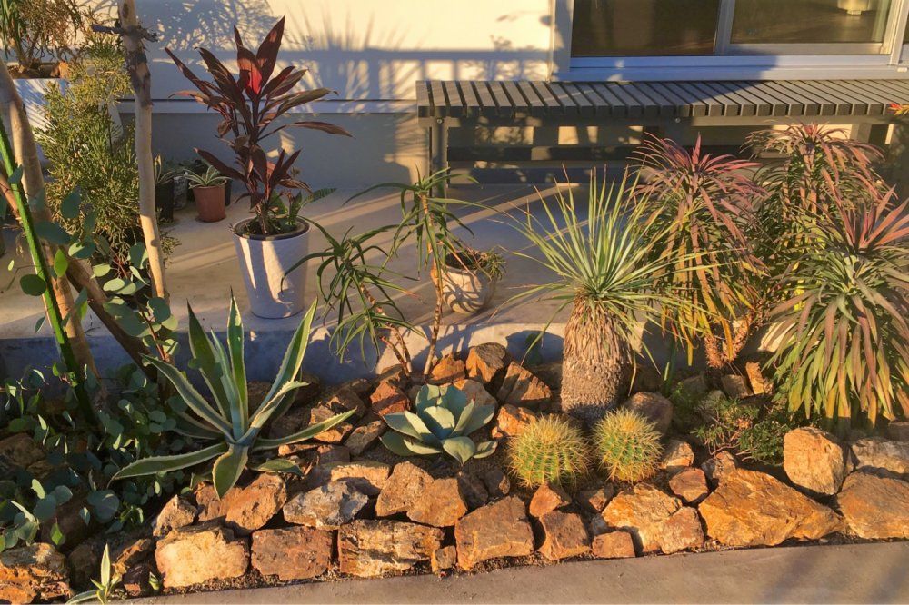 ロックガーデン