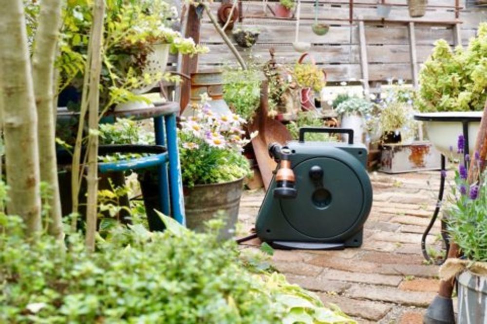 写真：庭のアプローチに花が咲いている