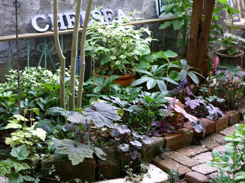 写真：シェードガーデン