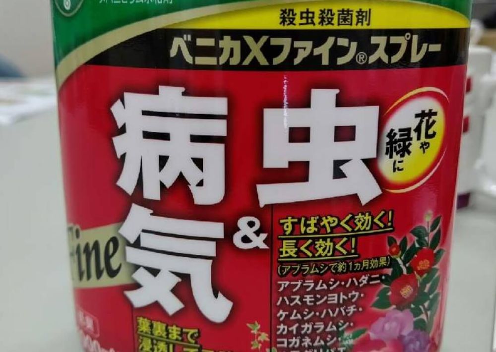 オンシツコナジラミ