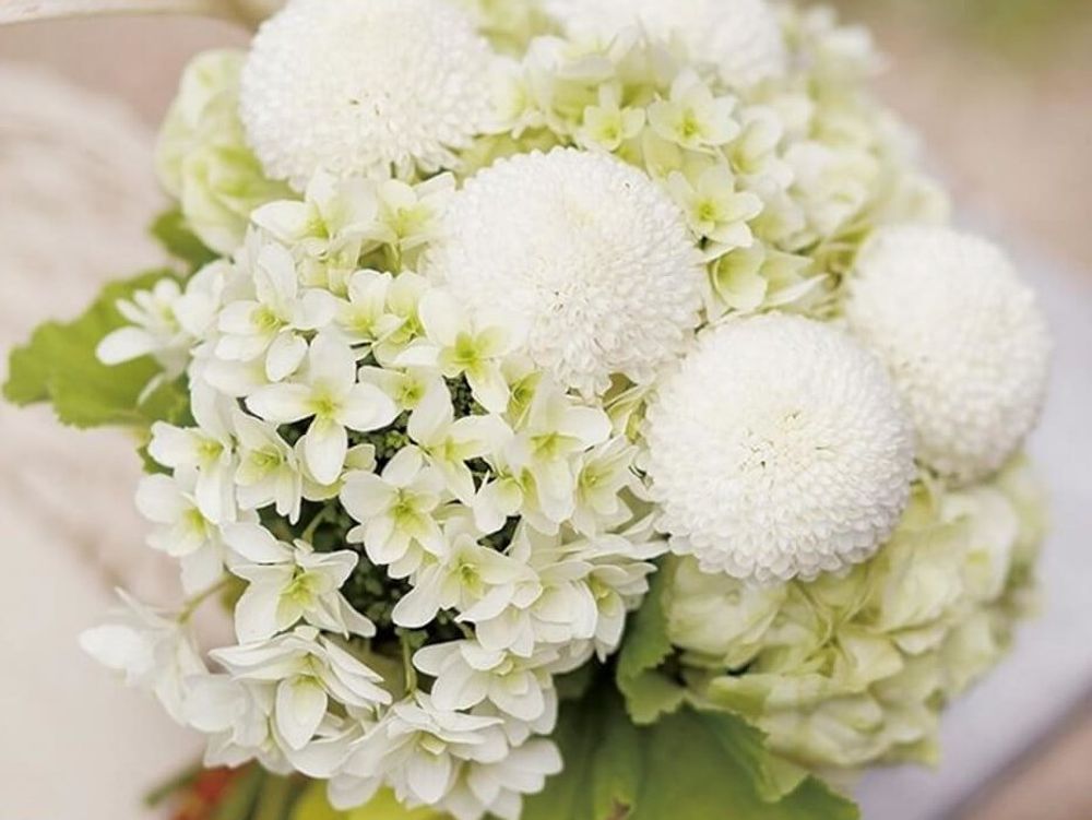 ブーケ　白い花